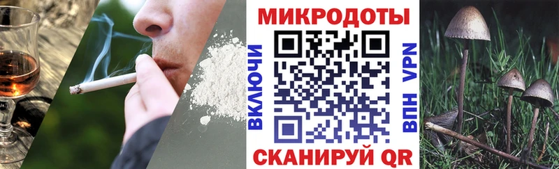 купить   Гудермес  даркнет наркотические препараты  Псилоцибиновые грибы Cubensis 