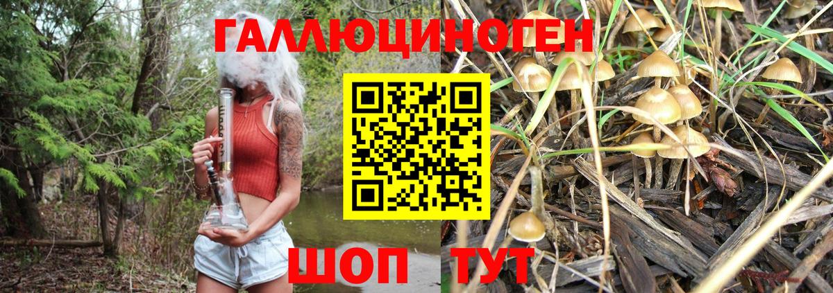 Псилоцибиновые грибы MAGIC MUSHROOMS  Гудермес  Галлюциногенные грибы мицелий 