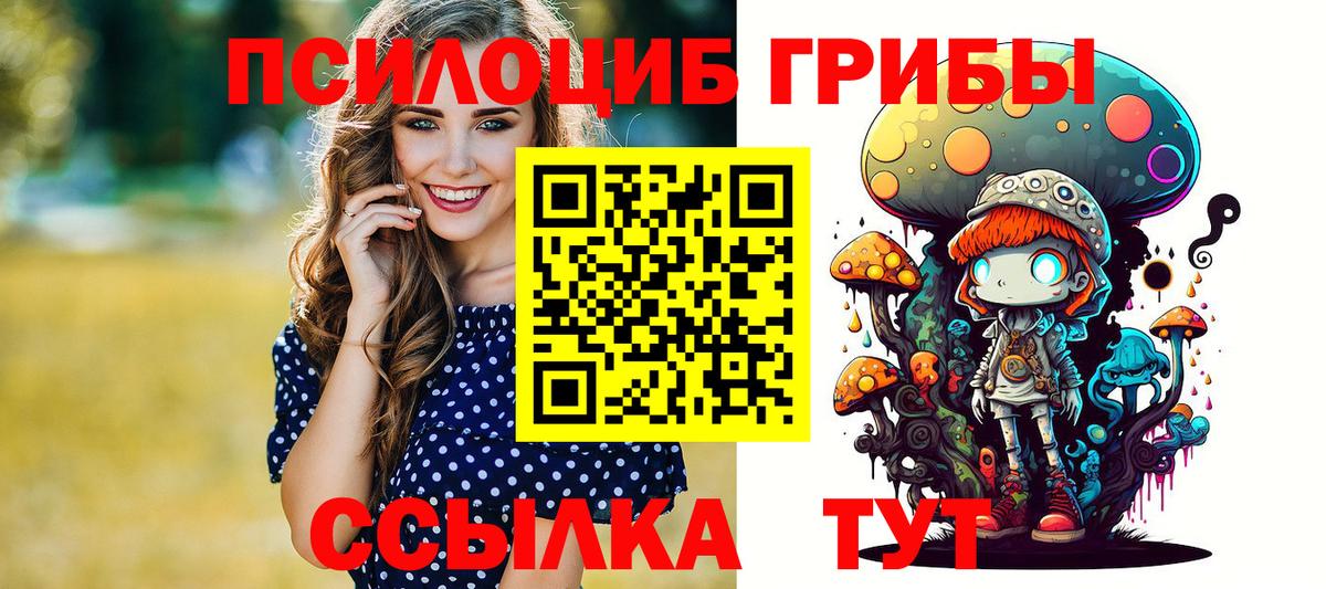 Псилоцибиновые грибы ЛСД Гудермес